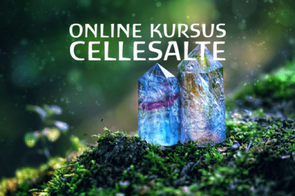 Cellesalte - hjemmeside